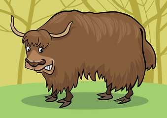 Image showing Yak bull