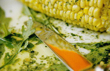 Image showing Maize and rucola