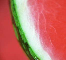Image showing Detail of a melon
