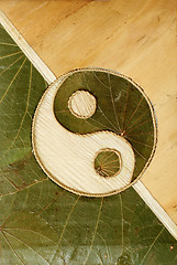 Image showing Ying-Yang