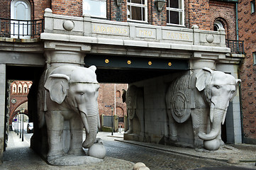 Image showing Carlsberg's elephant