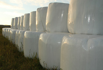 Image showing Bales of hay