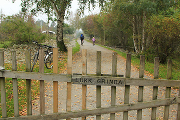 Image showing People bicykling on the road.