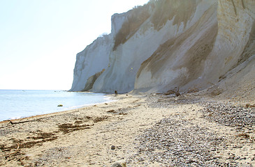 Image showing Møns Klint coast.