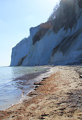 Image showing Møns Klint coast.