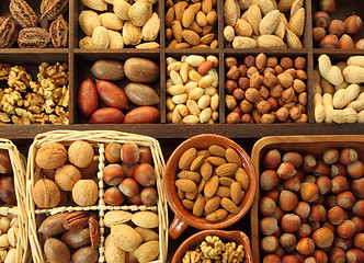 Image showing Nut types