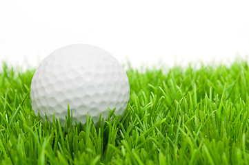 Image showing Golf Ball in Grass