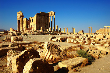 Image showing Relics of Palmyra in Syria