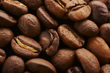 Image showing Coffee beans