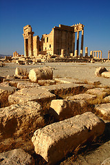 Image showing Relics of Palmyra in Syria