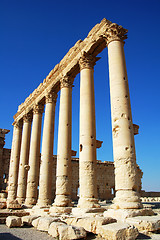 Image showing Relics of Palmyra in Syria