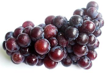 Image showing Grape fruits