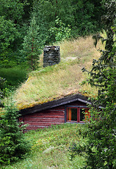 Image showing swedish cottage 