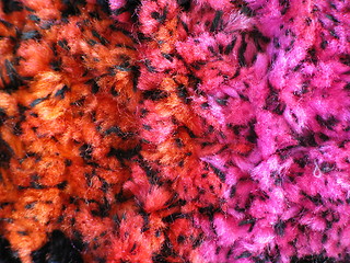 Image showing Pink Orange Fur