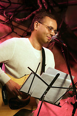 Image showing Guitarist on stage