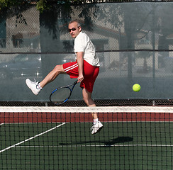 Image showing Tennis player