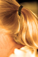 Image showing blonde hair