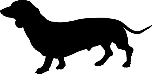 Image showing Dachshund Silhouette