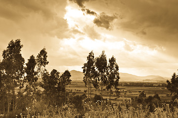 Image showing Ethiopian rural landscape