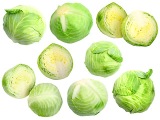 Image showing Set of fresh green cabbage