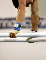 Image showing Gymnast on parallel bars