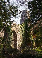 Image showing Old ruined castle in woods