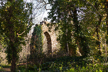 Image showing Old ruined castle in woods