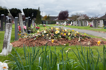 Image showing Freshly dug grave in cemetery