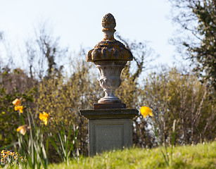 Image showing Daffodils surround garden statue in rural setting