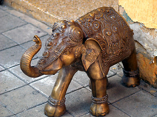 Image showing India Elephant