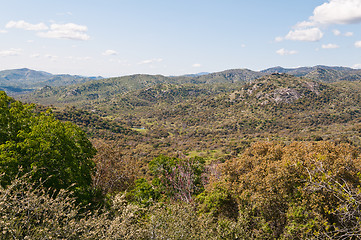 Image showing Wilderness