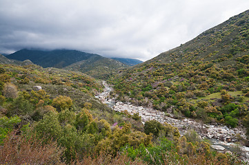 Image showing Sequoia National Park