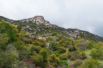 Image showing Sequoia National Park