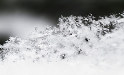 Image showing Snowflake in white snow