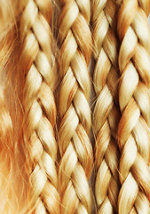 Image showing texture of thin brown pigtails
