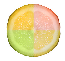 Image showing Citrus