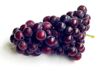 Image showing Grape fruits