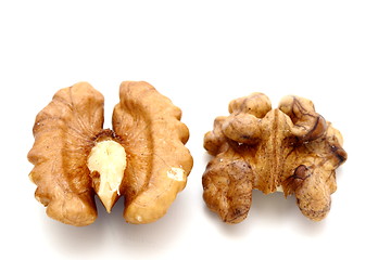 Image showing walnut kernel