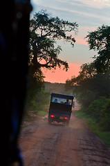 Image showing Evening safari in the savanna