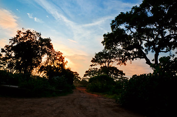 Image showing Evening safari in the savanna