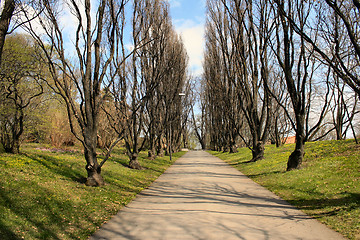 Image showing A walk in the park