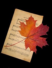 Image showing Music and autumn leaf