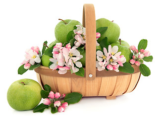 Image showing Granny Smith Apples