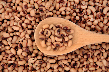 Image showing Black Eyed Peas