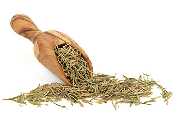 Image showing Rosemary Herb