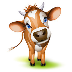 Image showing Little jersey cow