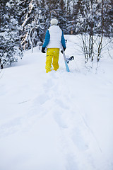 Image showing Winter woman with snowboard