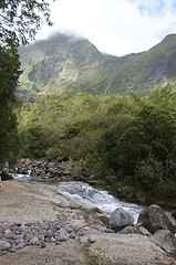 Image showing Fast flowing river in tropical rainforest