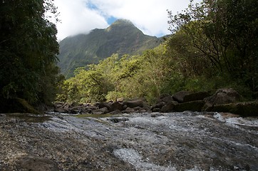 Image showing Fast flowing river in tropical rainforest