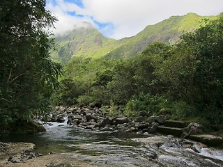 Image showing Fast flowing river in tropical rainforest